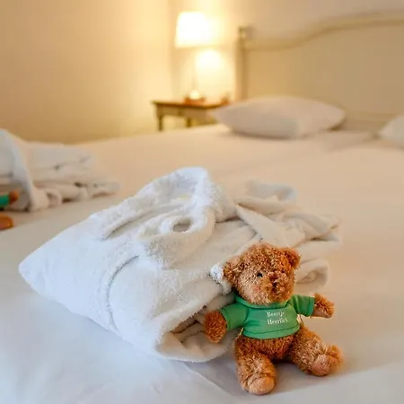 فندق Heerlickheijd 4*