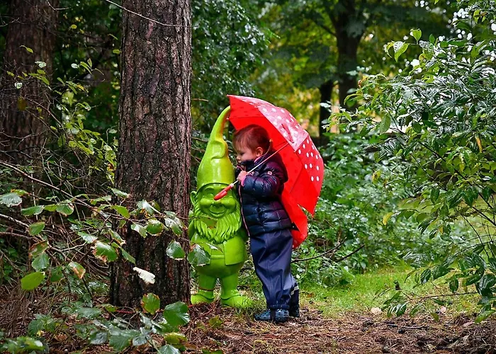 酒店 Heerlickheijd