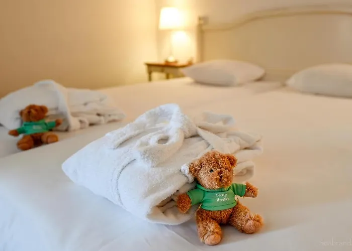 فندق Heerlickheijd 4*